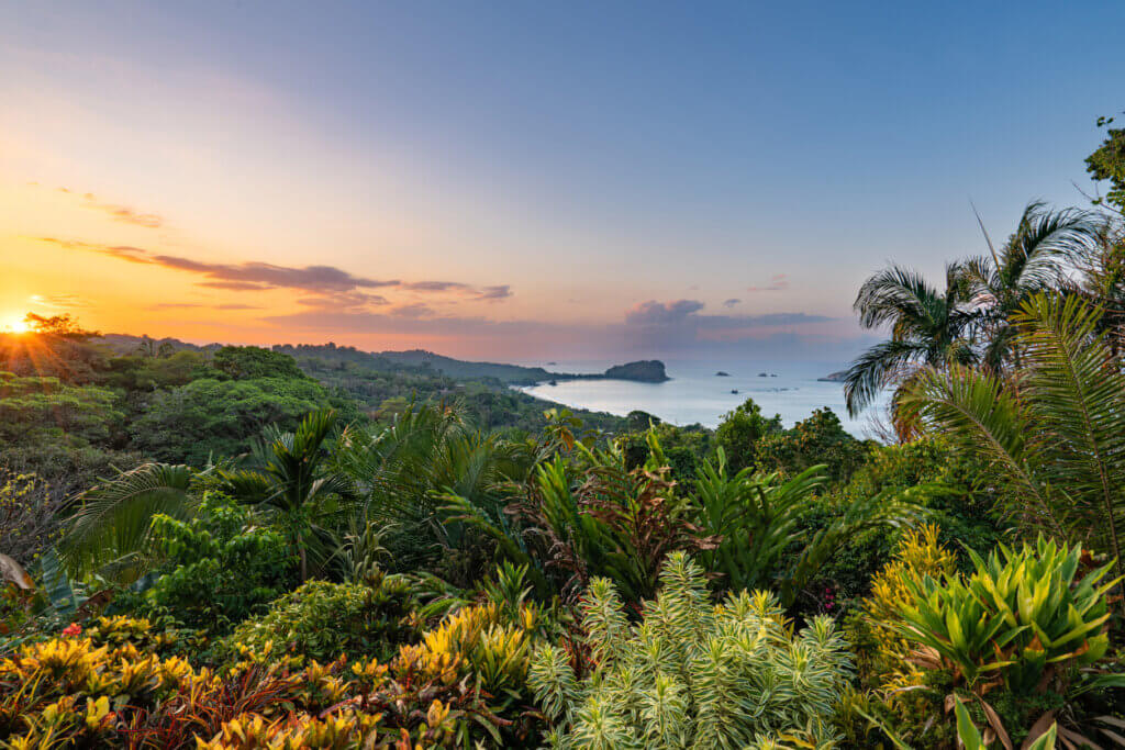 lush rainforest in Costa Rica, one of the Best Places to Visit in February